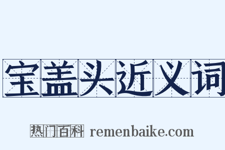 宝盖头近义词是什么意思的图片